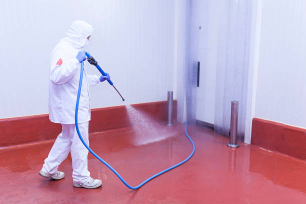 Best Warehouse Cleaning  in East Camden, SC